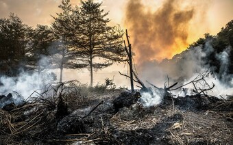 Оценка ущерба после стихийного бедствия в Томске: отчет оценщика